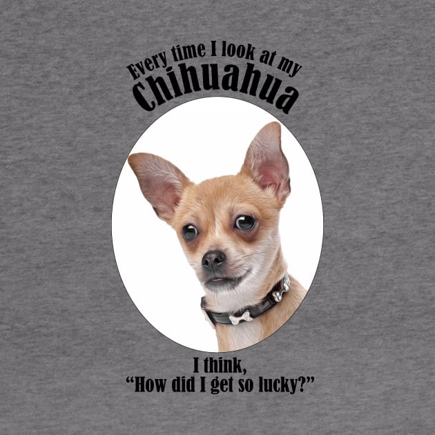 Lucky Chihuahua by You Had Me At Woof